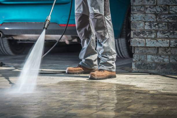 Best Pre-Holiday Cleaning  in Danville, VA