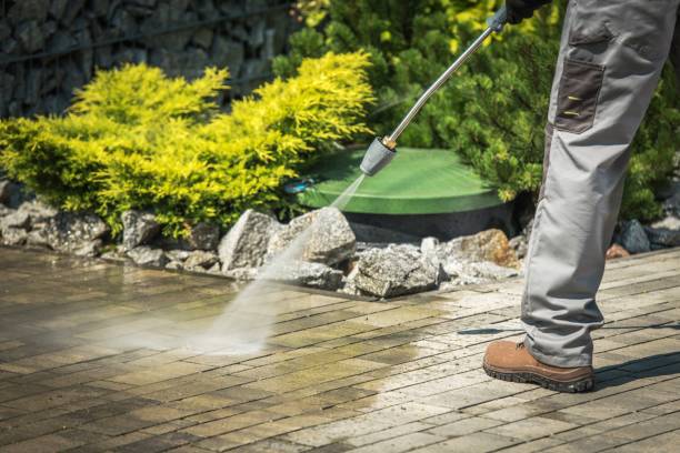 Best Driveway Pressure Washing  in Danville, VA