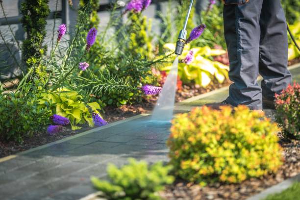 Best Fence Cleaning  in Danville, VA